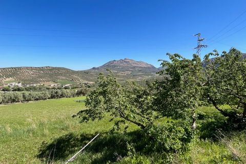Landhaus in Villanueva Del Trabuco, Malaga - Foto 4